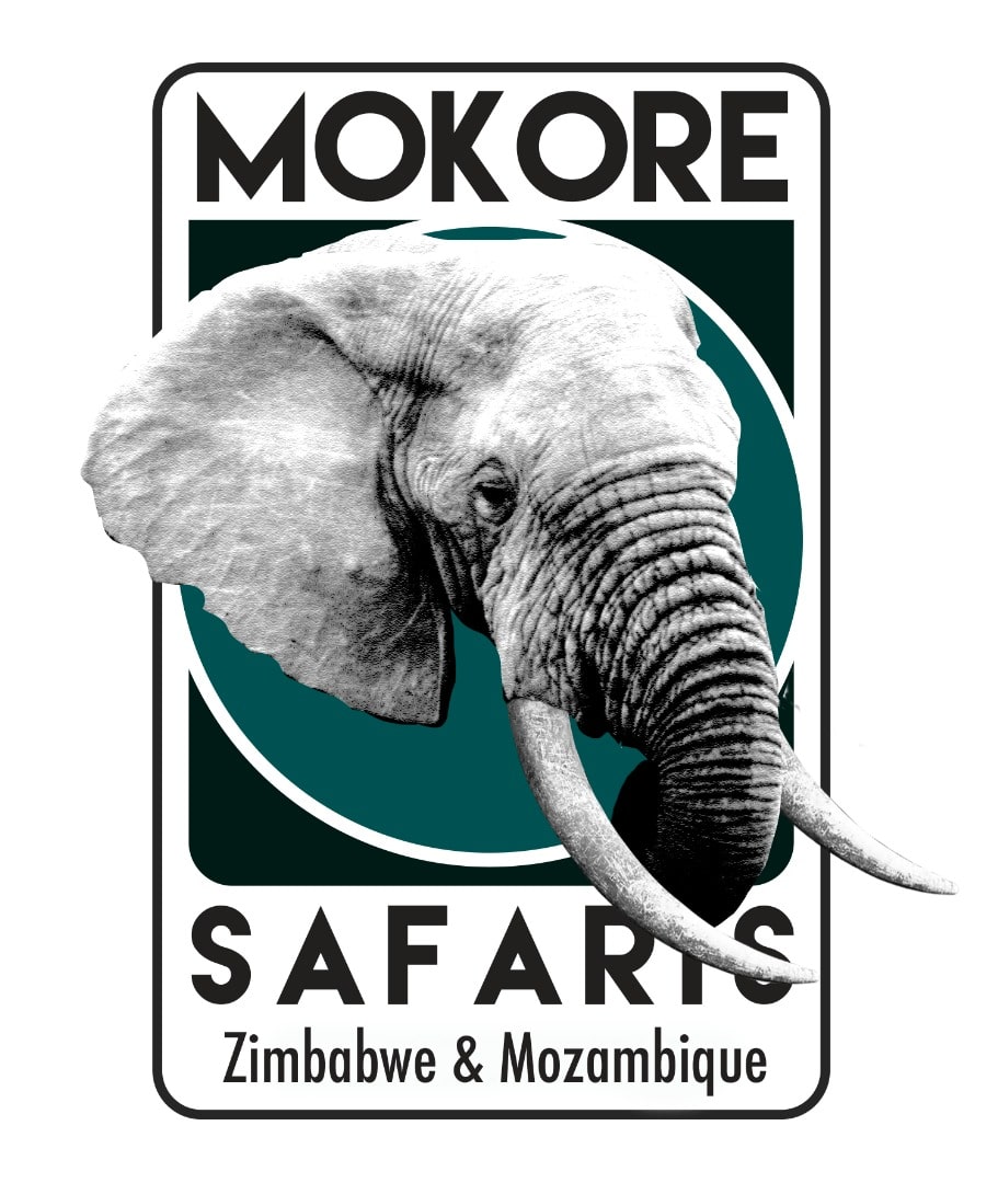 Logo Mokore