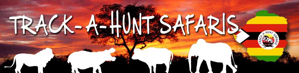 Logo Track a Hunt Safaris