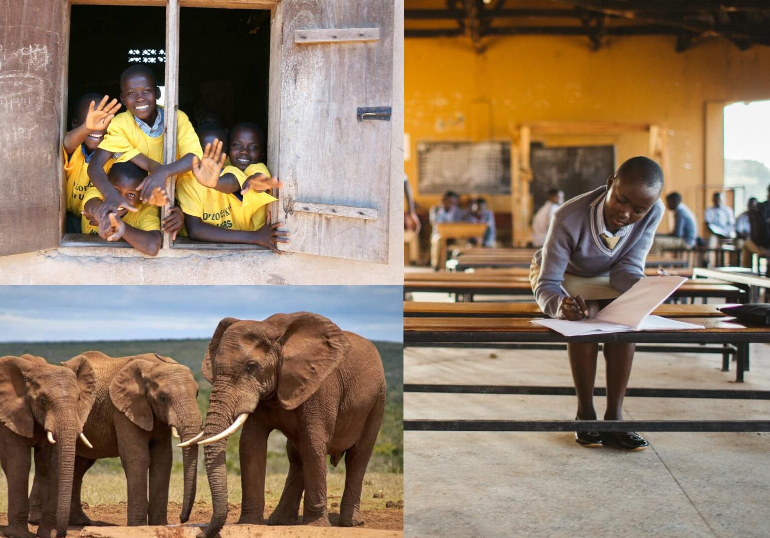 Collage imágenes África