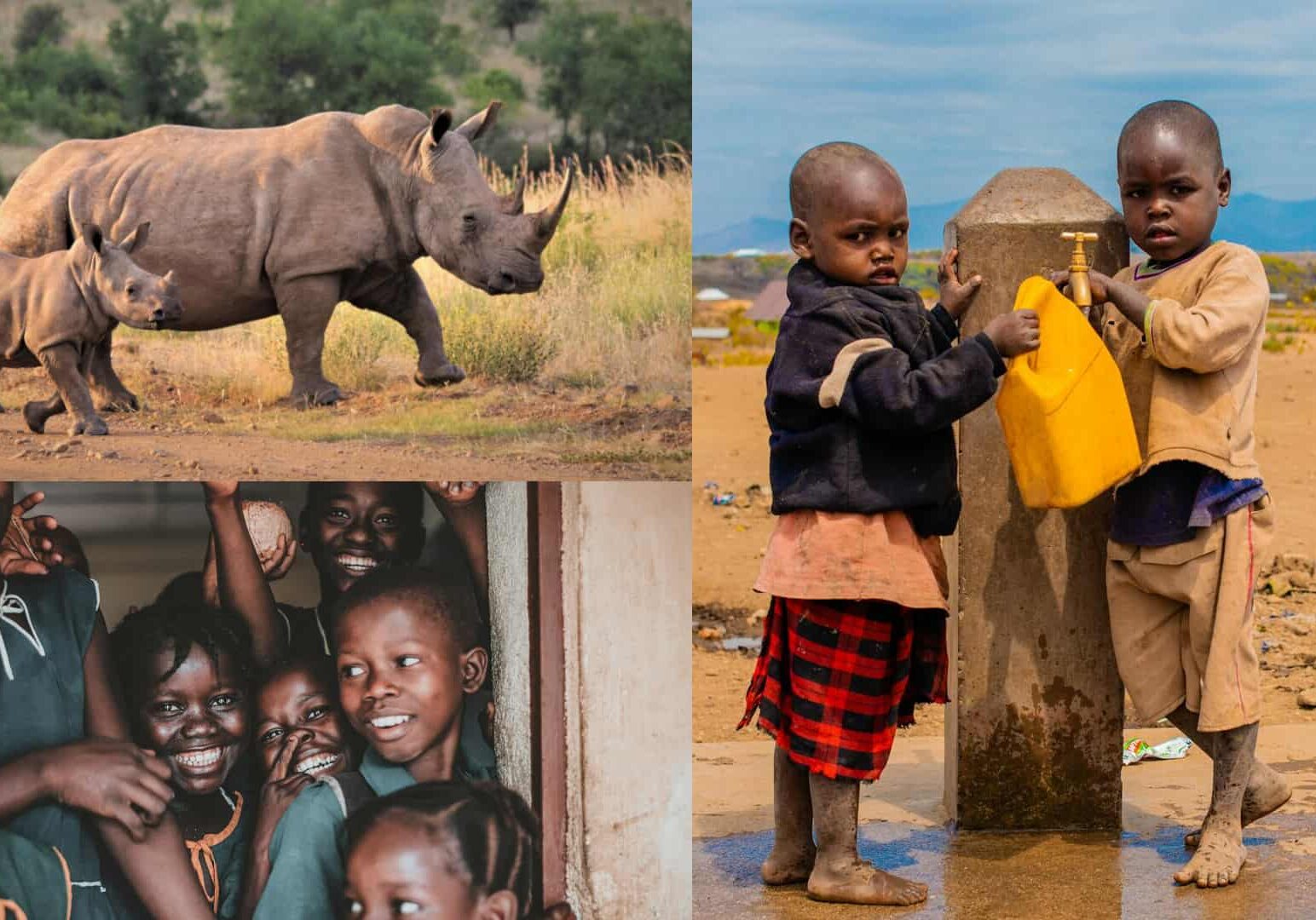Collage imágenes África