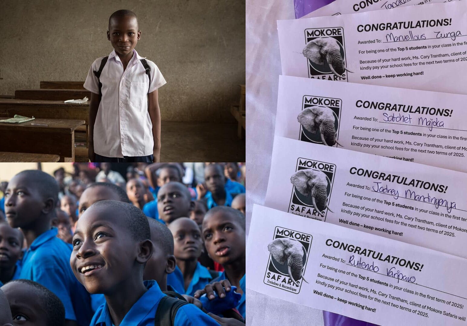 Collage de imágenes de África